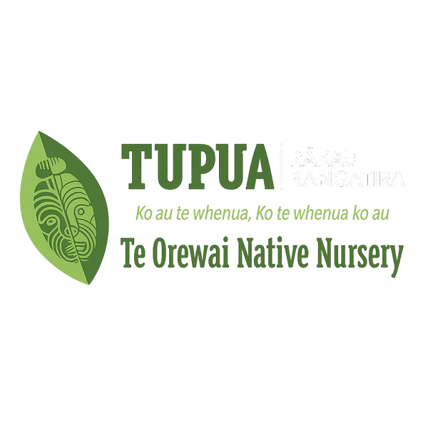 Te Orewai Native Nursery